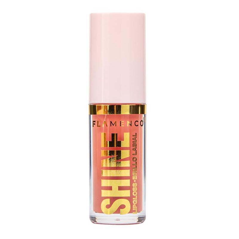 Shine Brillo Labial